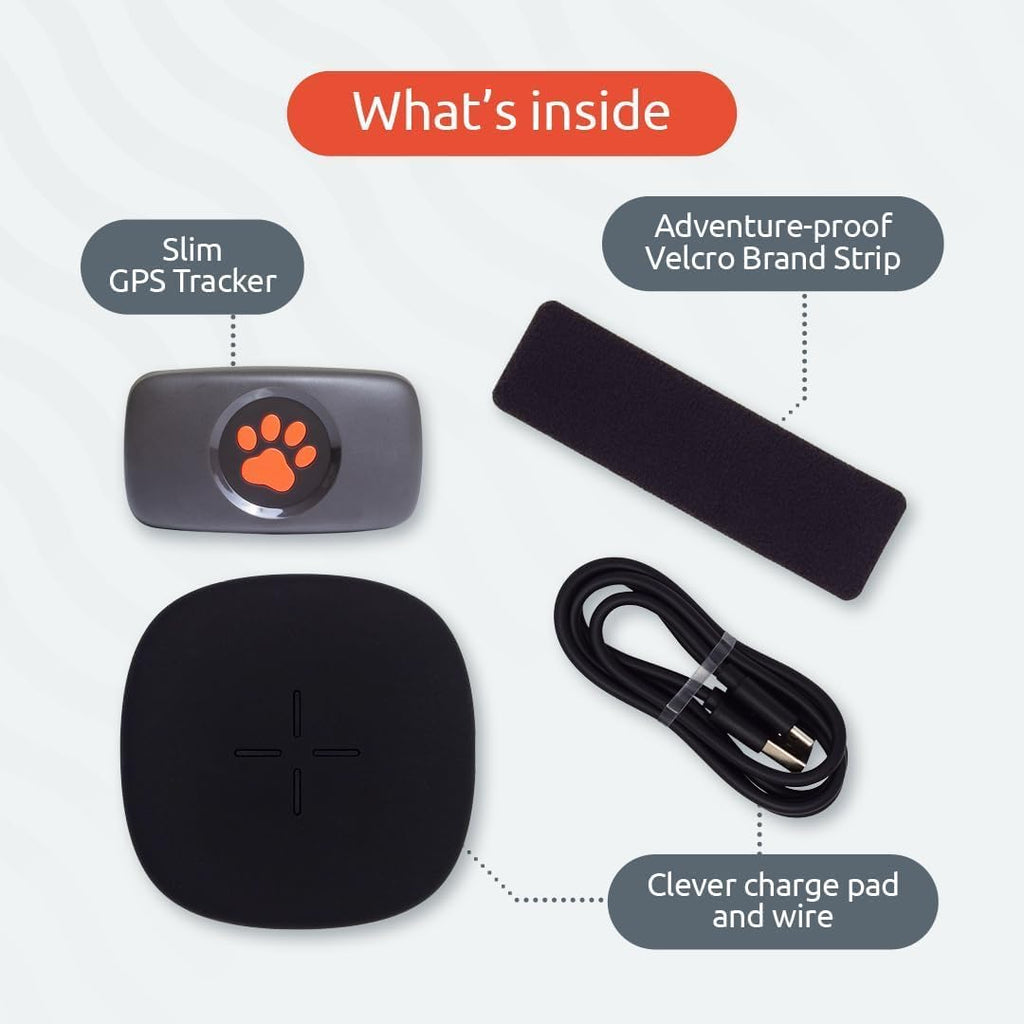PitPat™ GPS Dog Tracker
