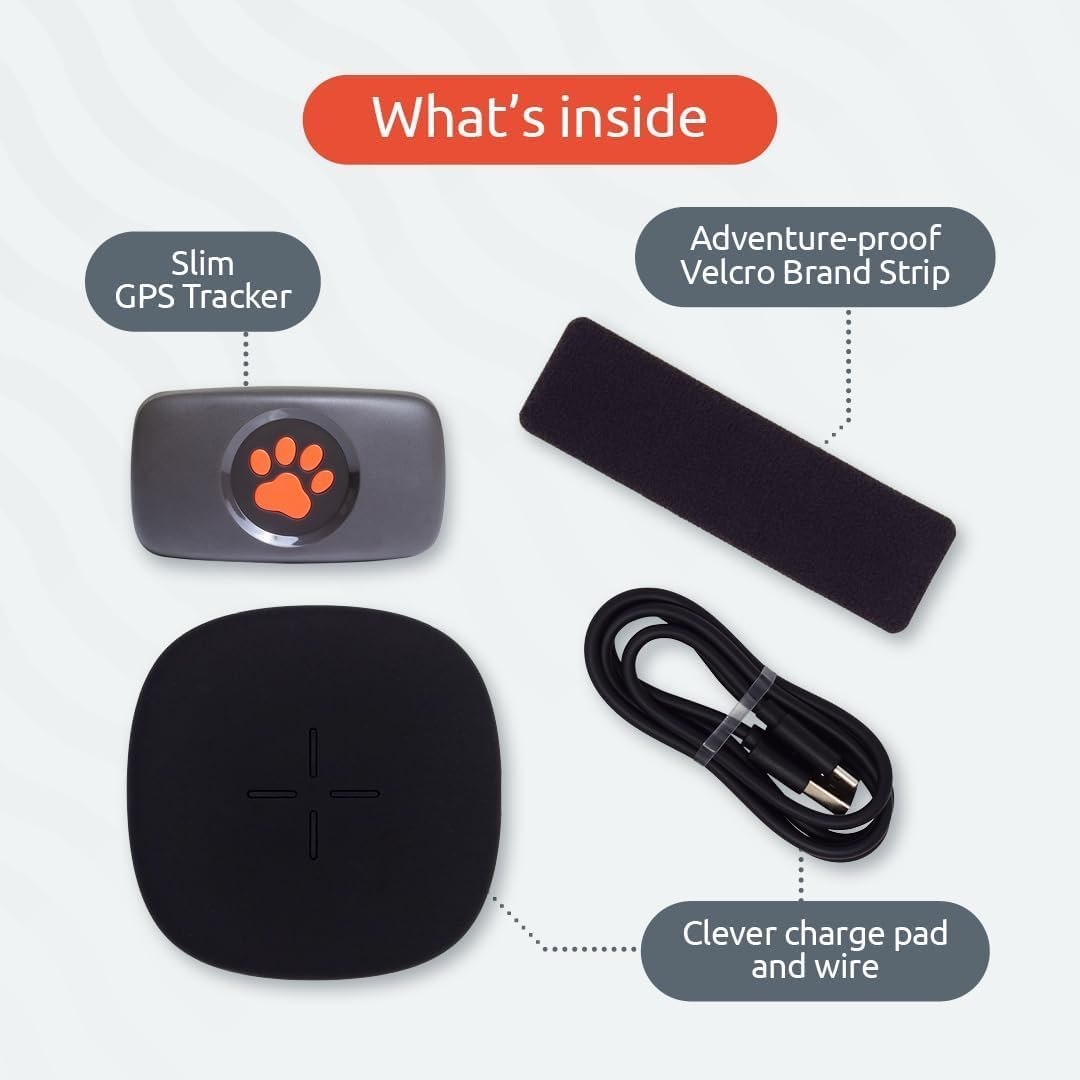 PitPat™ GPS Dog Tracker