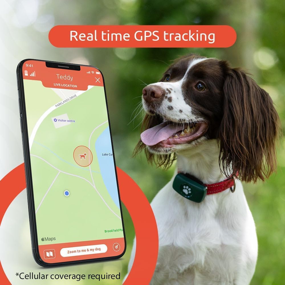 PitPat™ GPS Dog Tracker