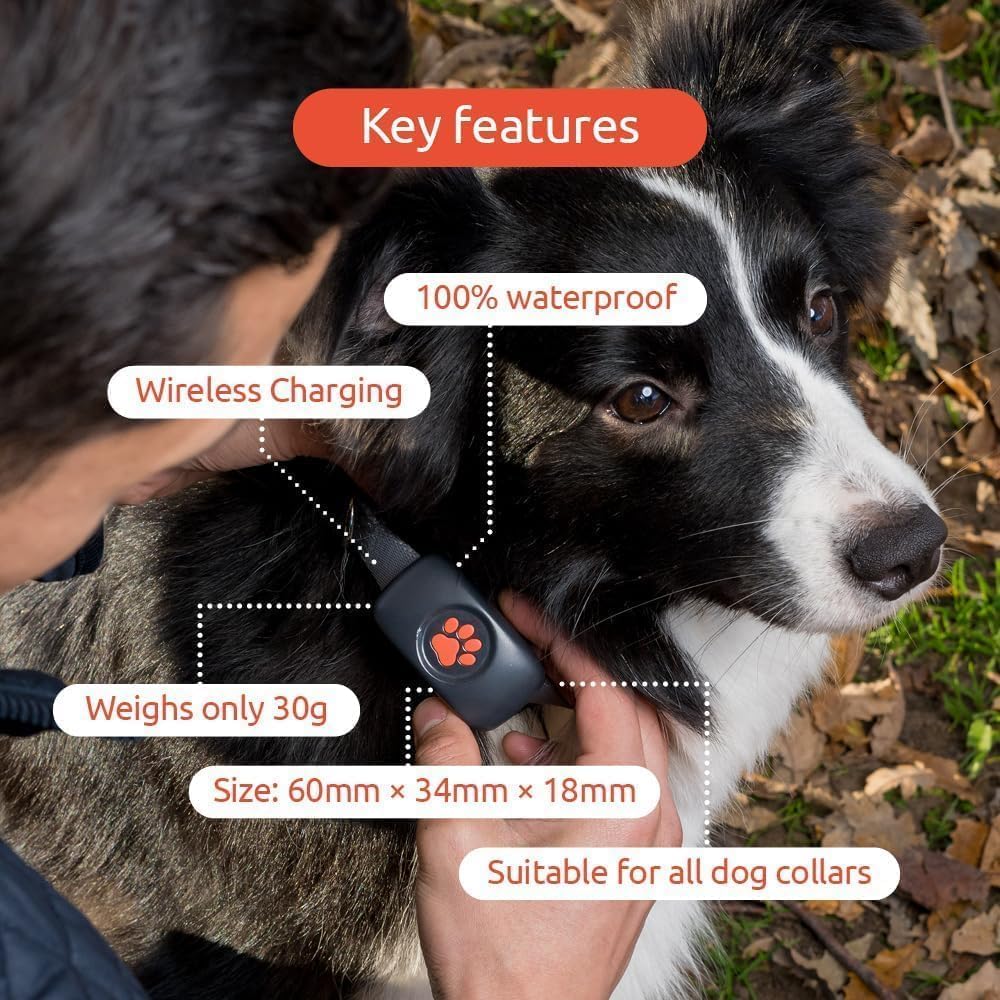 PitPat™ GPS Dog Tracker